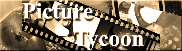 Picture Tycoon